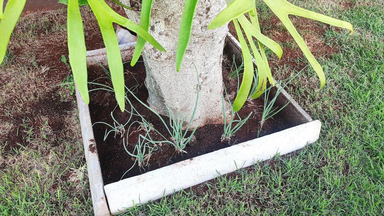 Villa Linda Casa Bairro Tranquilo Prox Cataratas Foz do Iguaçu Esterno foto
